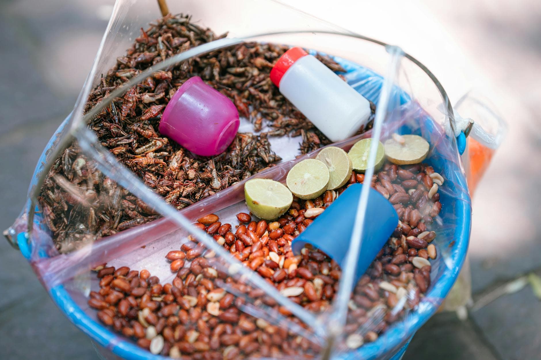 #8 Eating Insects (Entomophagy) — Top 10 Most Controversial Food Trends