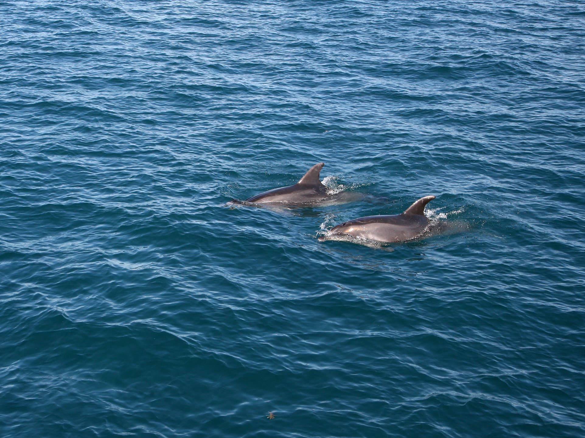 #5 Bay of Islands — Top 10 Best Things to Do in New Zealand