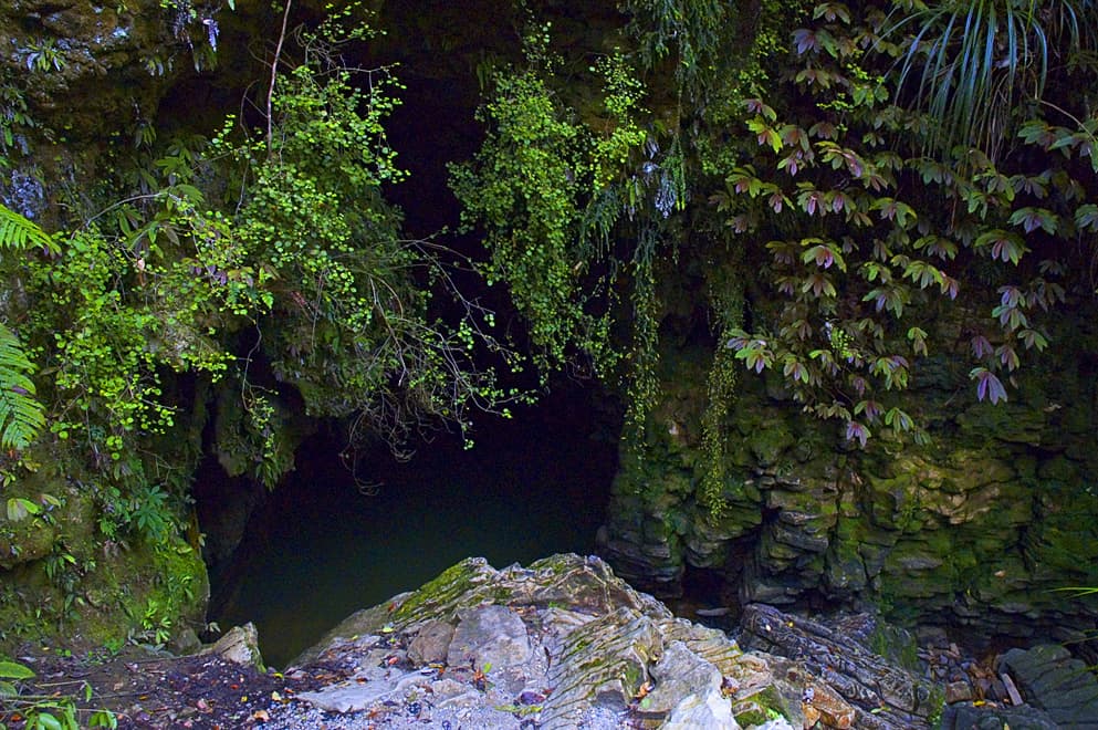 #10 Waitomo Glowworm Caves — Top 10 Best Things to Do in New Zealand