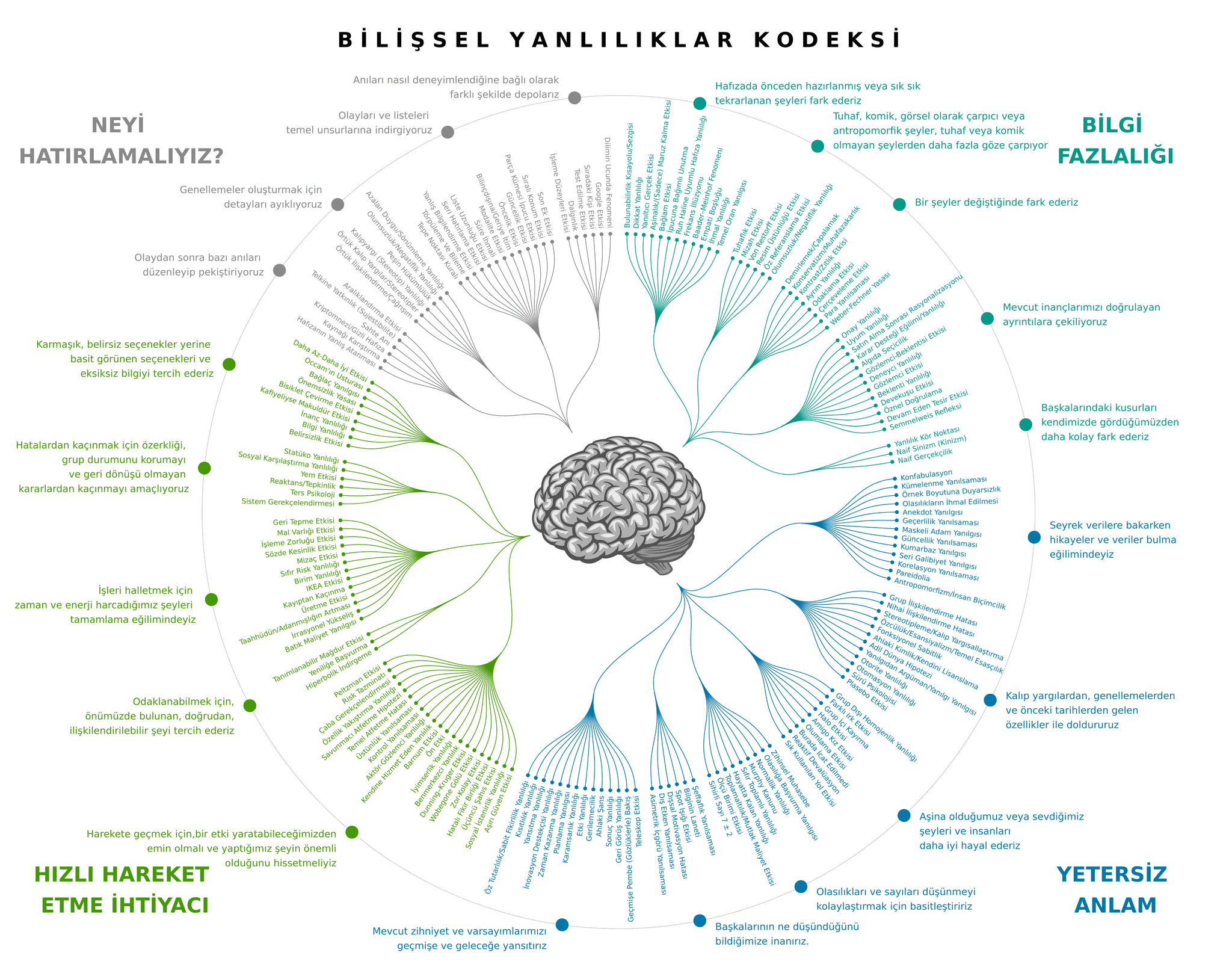 #7 Negativity Bias — Top 10 Cognitive Biases That Shape Your Decisions: The Hidden Flaws in Your Thinking
