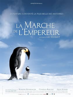 #5 March of the Penguins (2005) — Top 10 Greatest Documentaries of All Time