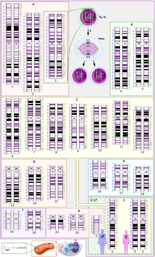 #10 DNA Sequencing — Top 10 Greatest Inventions of All Time