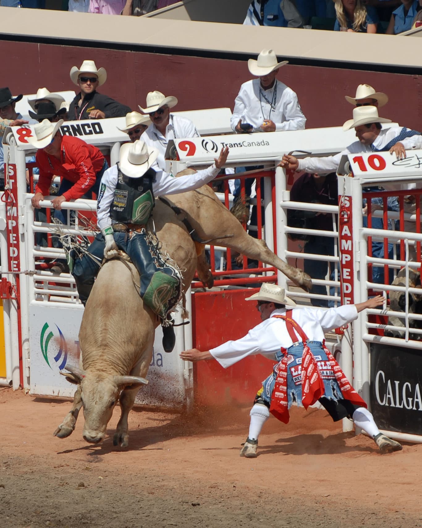 #5 Bull Riding — Top 10 Most Extreme Sports in the World