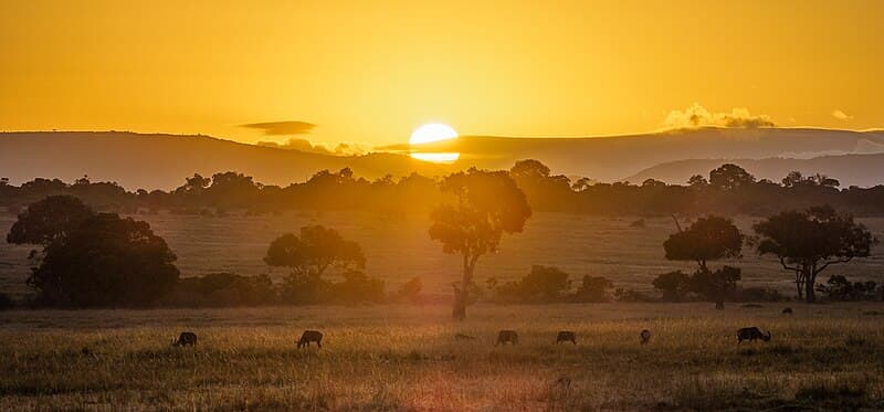 #1 Masai Mara National Reserve, Kenya — Top 10 East African Safari Destinations (2025 Ranked List)