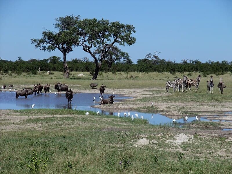 #6 Chobe National Park, Botswana — Top 10 Greatest Safari Destinations in Africa