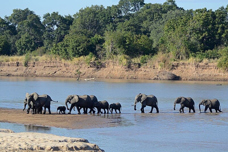#10 South Luangwa National Park, Zambia — Top 10 Greatest Safari Destinations in Africa