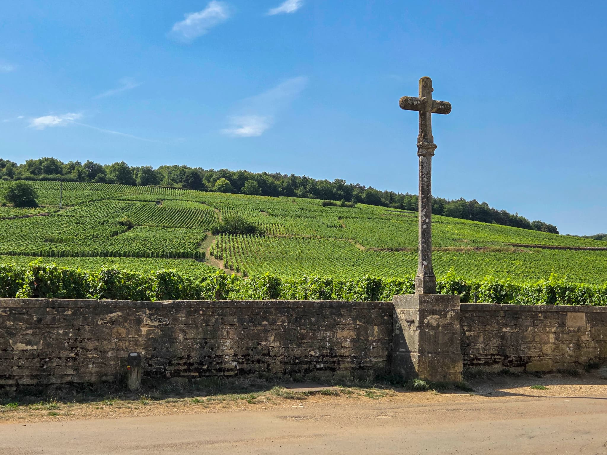 #1 Romanée-Conti — Top 10 Best Wines in the World