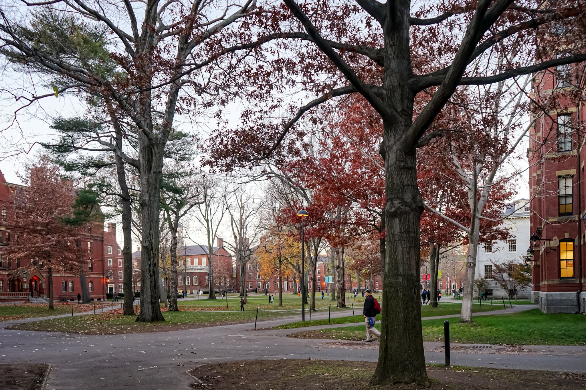 #4 Harvard University — Top 10 Best Universities in the World