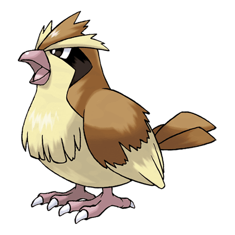 #8 Pidgey — Top Pokemon — Generation 1
