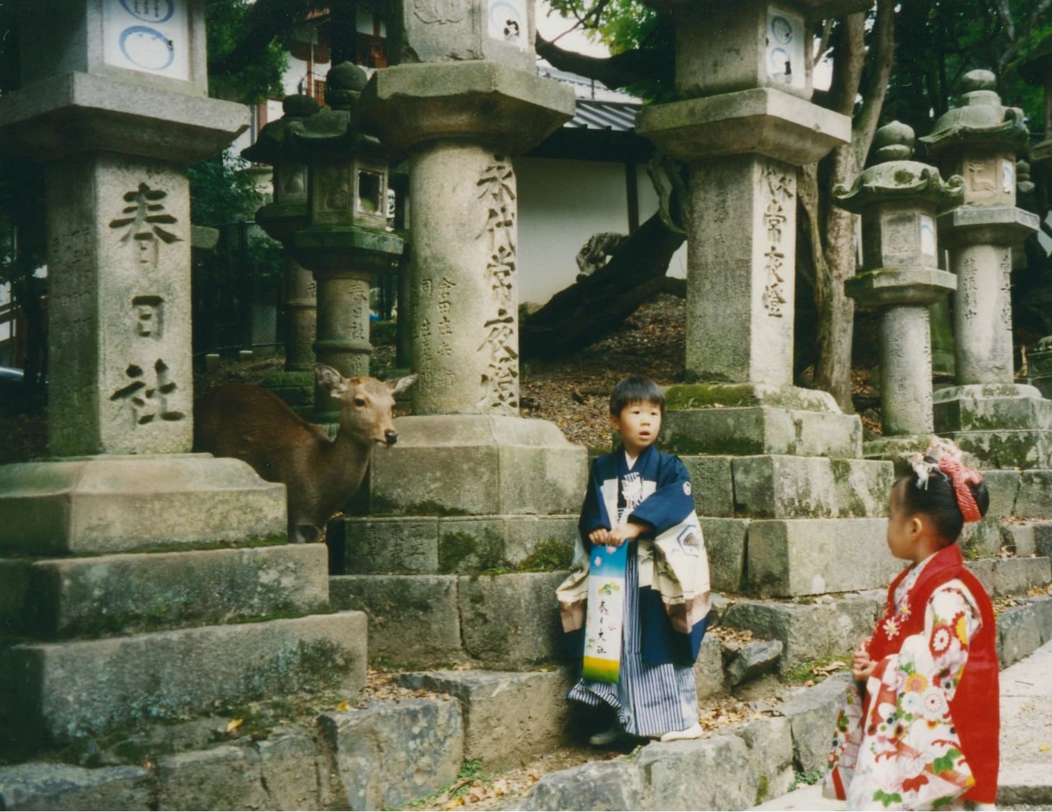 #7 Nara — Deer Park & Ancient Temples — Top 10 Most Visited Cities in Japan 2026