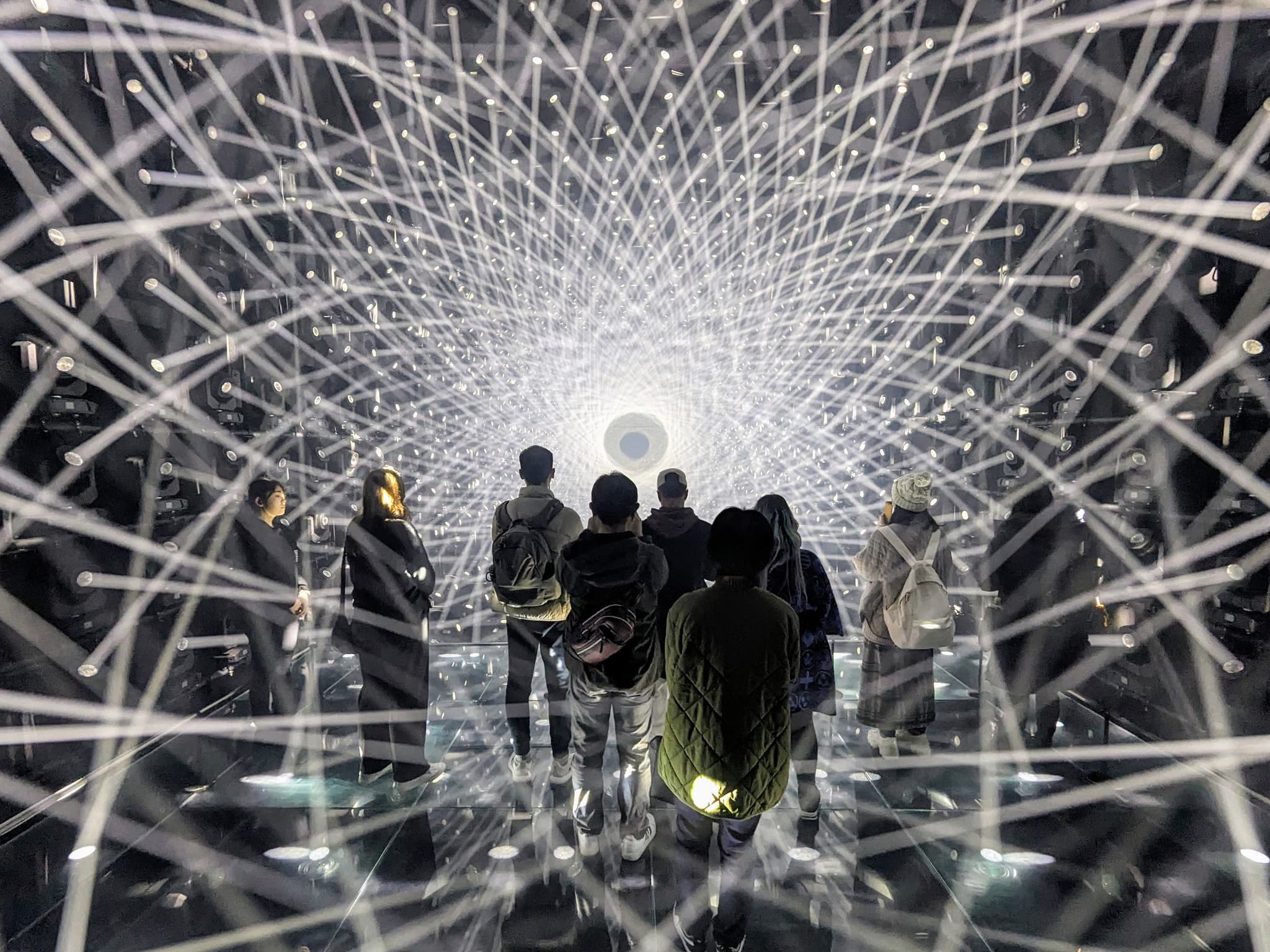 #8 TeamLab Borderless Digital Art Museum — Top 10 Things to Do in Tokyo 2026