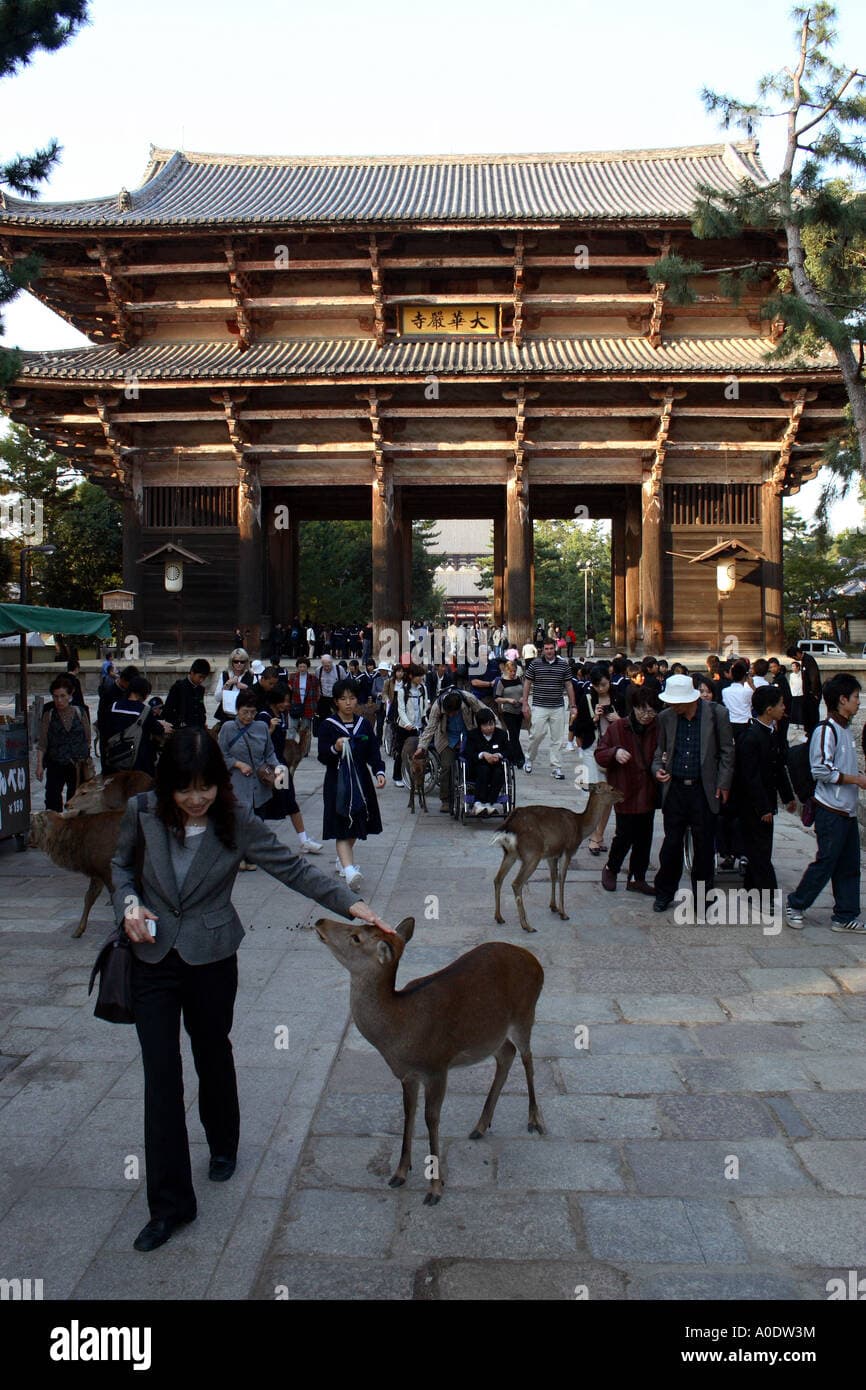 #3 Nara Park (Deer Petting & Temples) — Top 10 Family Entertainment & Activities in Japan