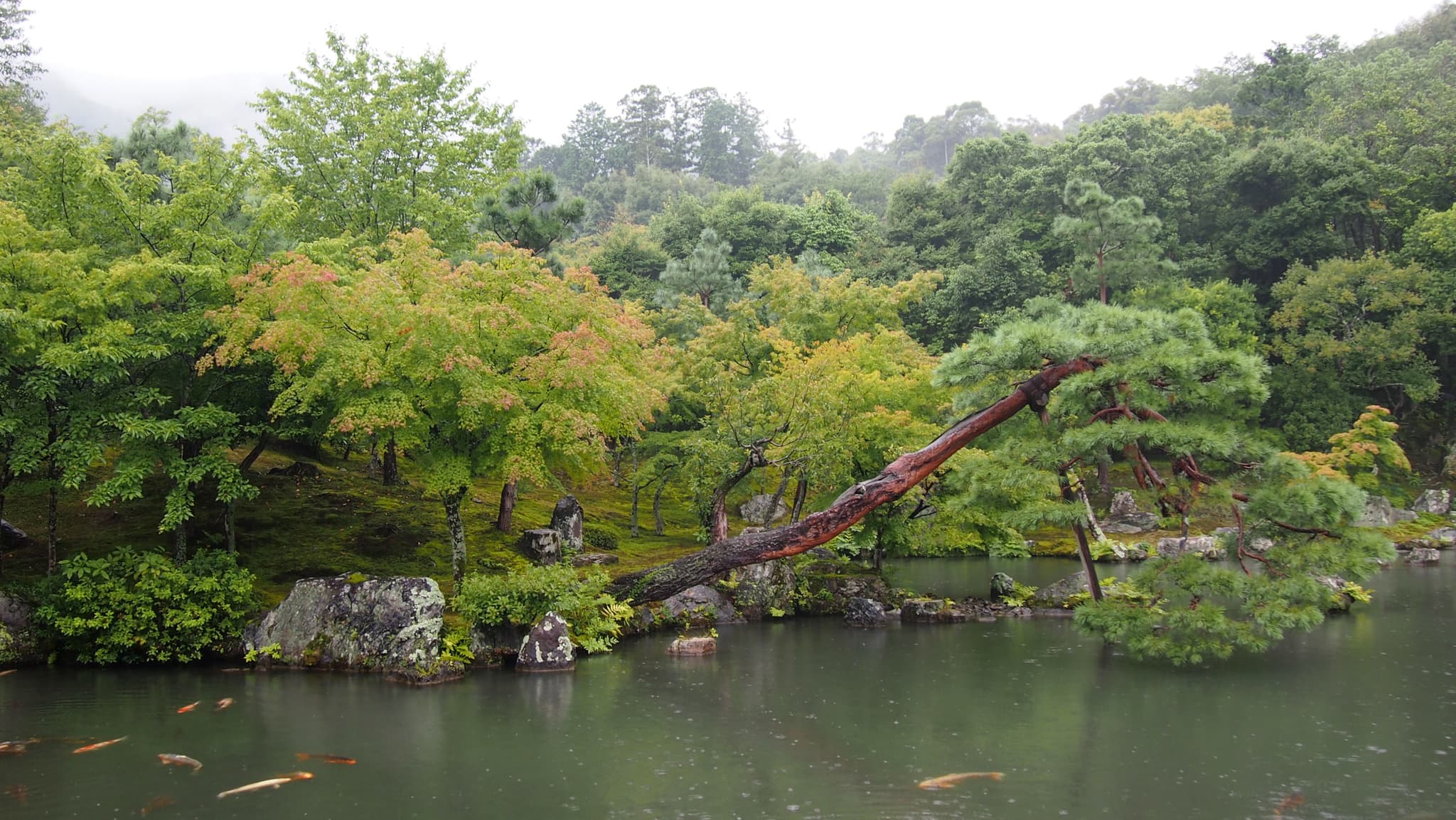 #10 Arashiyama Tenryu-ji (Zen Temple, Kyoto) — Top 10 Most Important Temples & Shrines to Visit in Japan