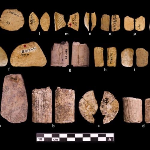 #5 Ice Age dice show early Native Americans may have understood probability — Top 10 Ars Technica — Latest — April 6, 2026