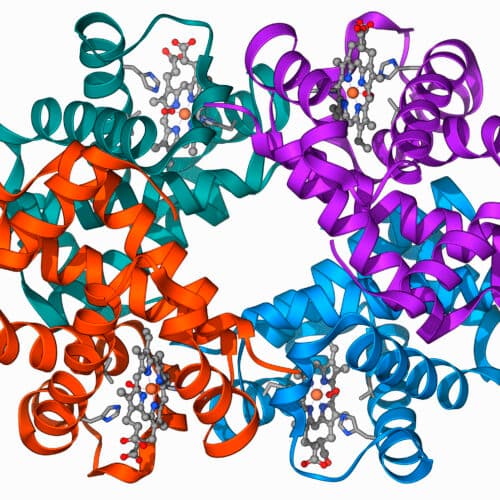 #3 Clinical trial shows gene editing works for β-Thalassaemia, too — Top 10 Ars Technica — Latest — April 10, 2026