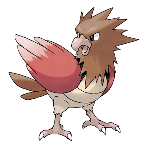 #6 Spearow — Top Pokemon — Generation 1