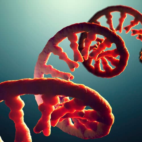 #7 Do you take after your dad’s RNA? — Top 10 Ars Technica — Latest — May 11, 2026