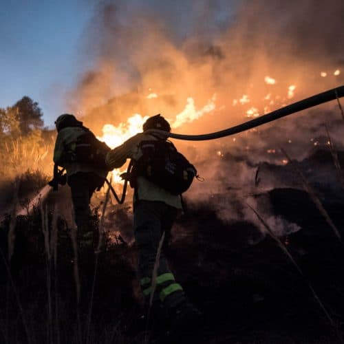 #3 Forecasters predict wildfires, floods, severe heatwaves from incoming El Niño — Top 10 Ars Technica — Latest — May 14, 2026