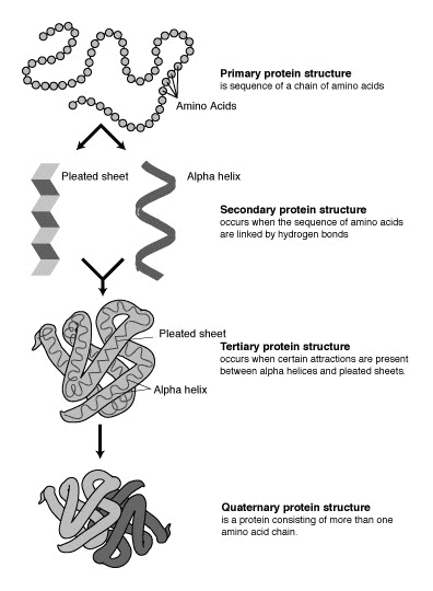 #8 AlphaFold 3 and AI-Driven Drug Discovery — Top 10 Breakthrough AI Technologies of 2026