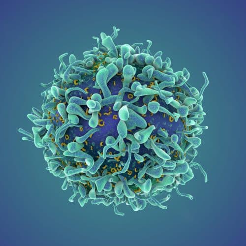 #2 A revolutionary cancer treatment could transform autoimmune disease — Top 10 Ars Technica — Latest — May 18, 2026
