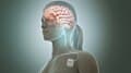 #4 Vagus Nerve Stimulation (DIY + Devices) — Top 10 Nervous System Regulation Techniques Dominating Wellness in 2026
