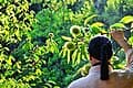 #8 Forest Bathing (Shinrin-yoku) — Top 10 Nervous System Regulation Techniques Dominating Wellness in 2026