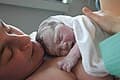 #6 Queen Mary Hospital — Obstetrics & Gynaecology — Top 10 Best Maternity Hospitals & Pregnancy Services in Hong Kong 2026