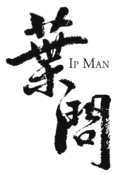 #11 Ip Man (2008) — Top 15 Best Hong Kong Films & TV Shows to Watch in 2025-2026