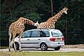 #7 Zhuhai Safari Park (珠海野生动物园) — Top 15 Best Things to Do in Zhuhai With Families 2026