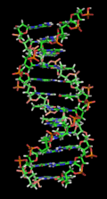 #2 DNA Double Helix Structure — Top 10 Greatest Scientific Discoveries of All Time — That Changed the World