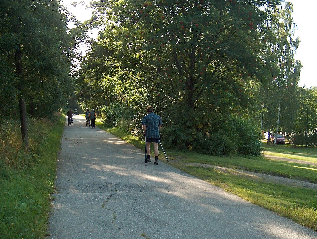 #1 Japanese Interval Walking (IWT) — Top 10 Low-Impact Exercises Transforming Fitness in 2026