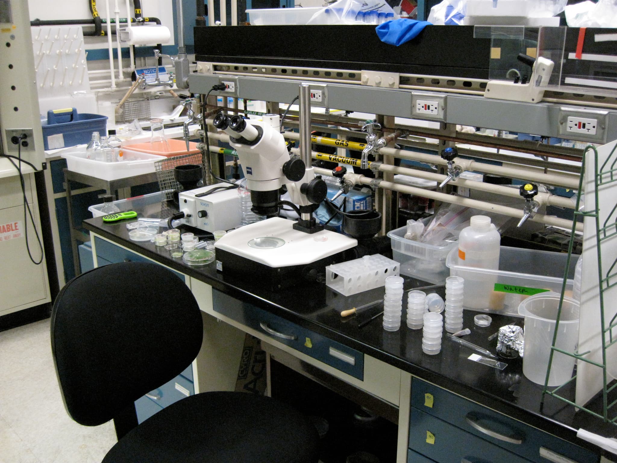 #10 Synthetic Biology — Top 10 Most Disruptive Technologies of 2026