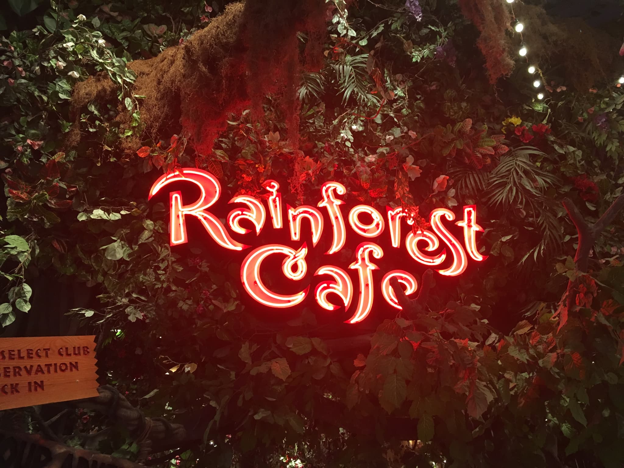 #10 Rainforest Cafe — Top 10 Most Overrated Restaurants