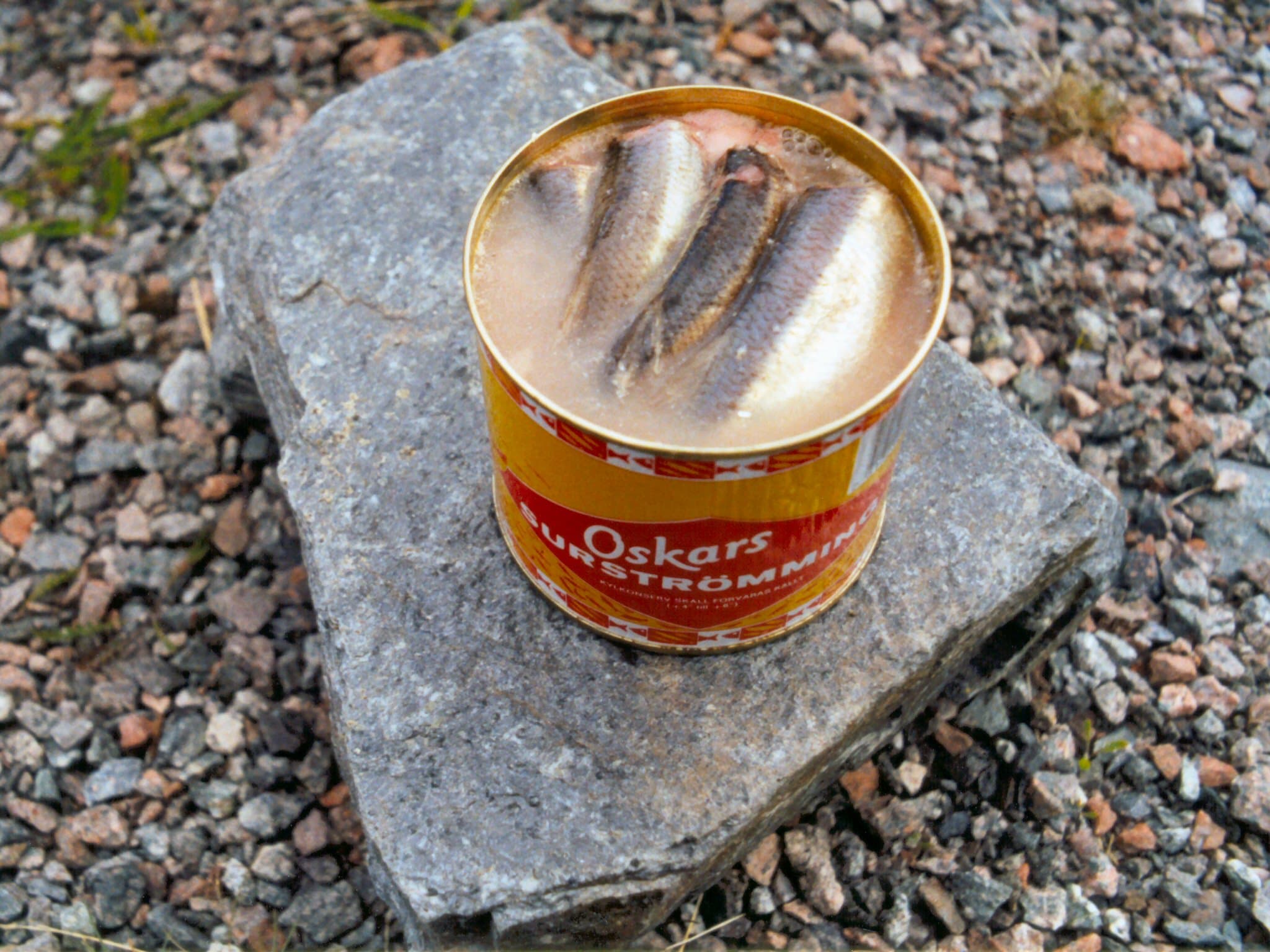 #1 Surströmming (Sweden) — Top 10 Most Disgusting Delicacies