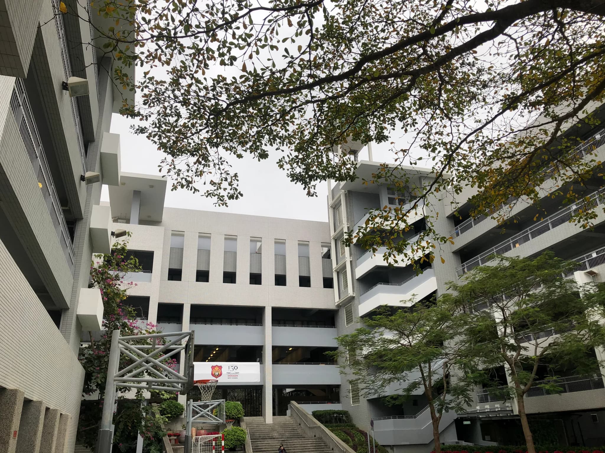 Diocesan Boys' School Primary Division