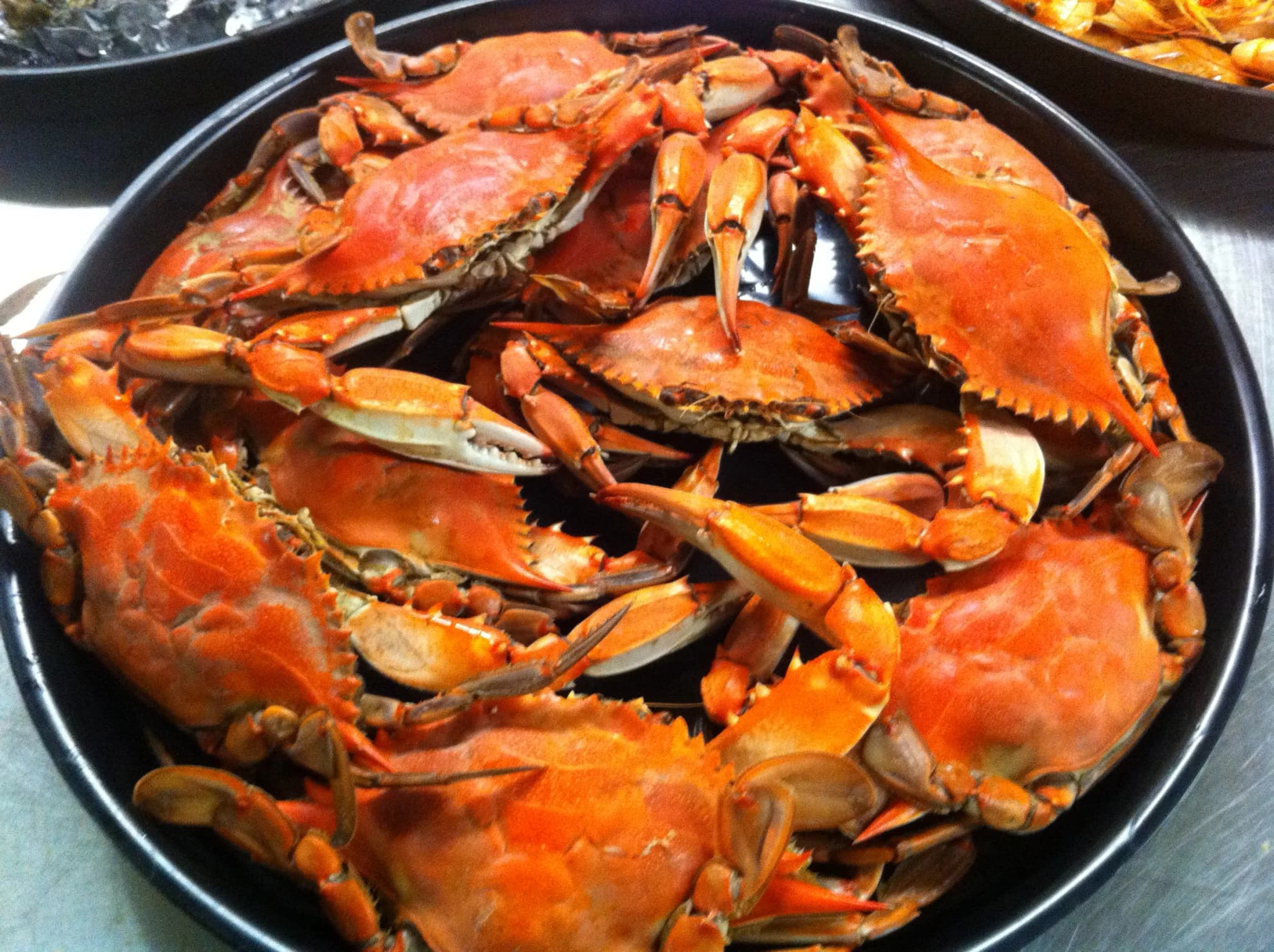 #5 Crab, blue, cooked (moist heat) — Top 10 High-Protein Foods by Protein per 100 Calories 2026