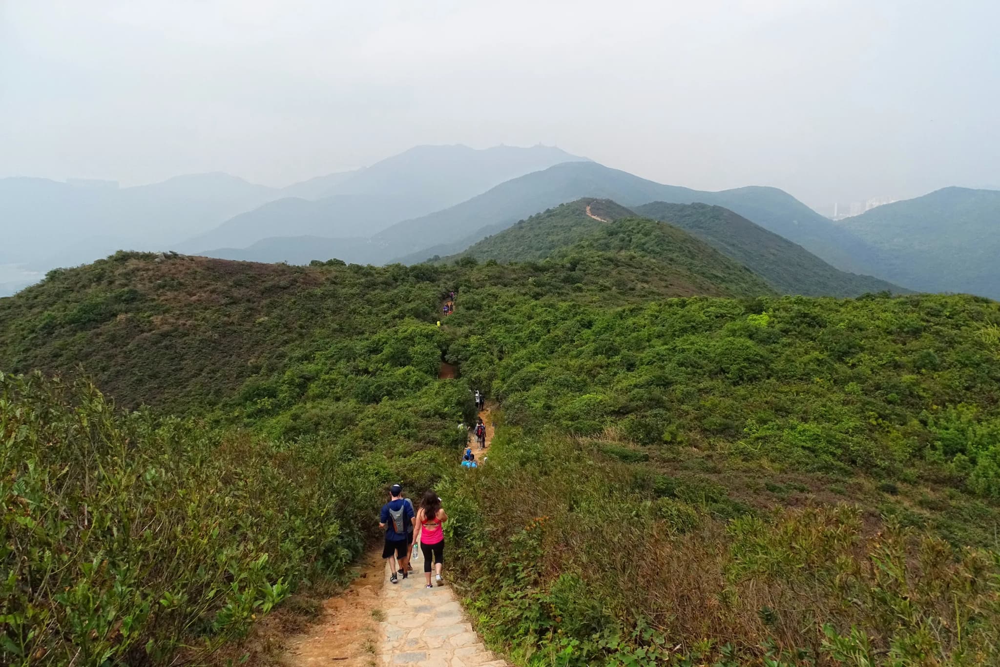 #1 Dragon's Back — Top 10 Hiking Trails in Hong Kong 2026
