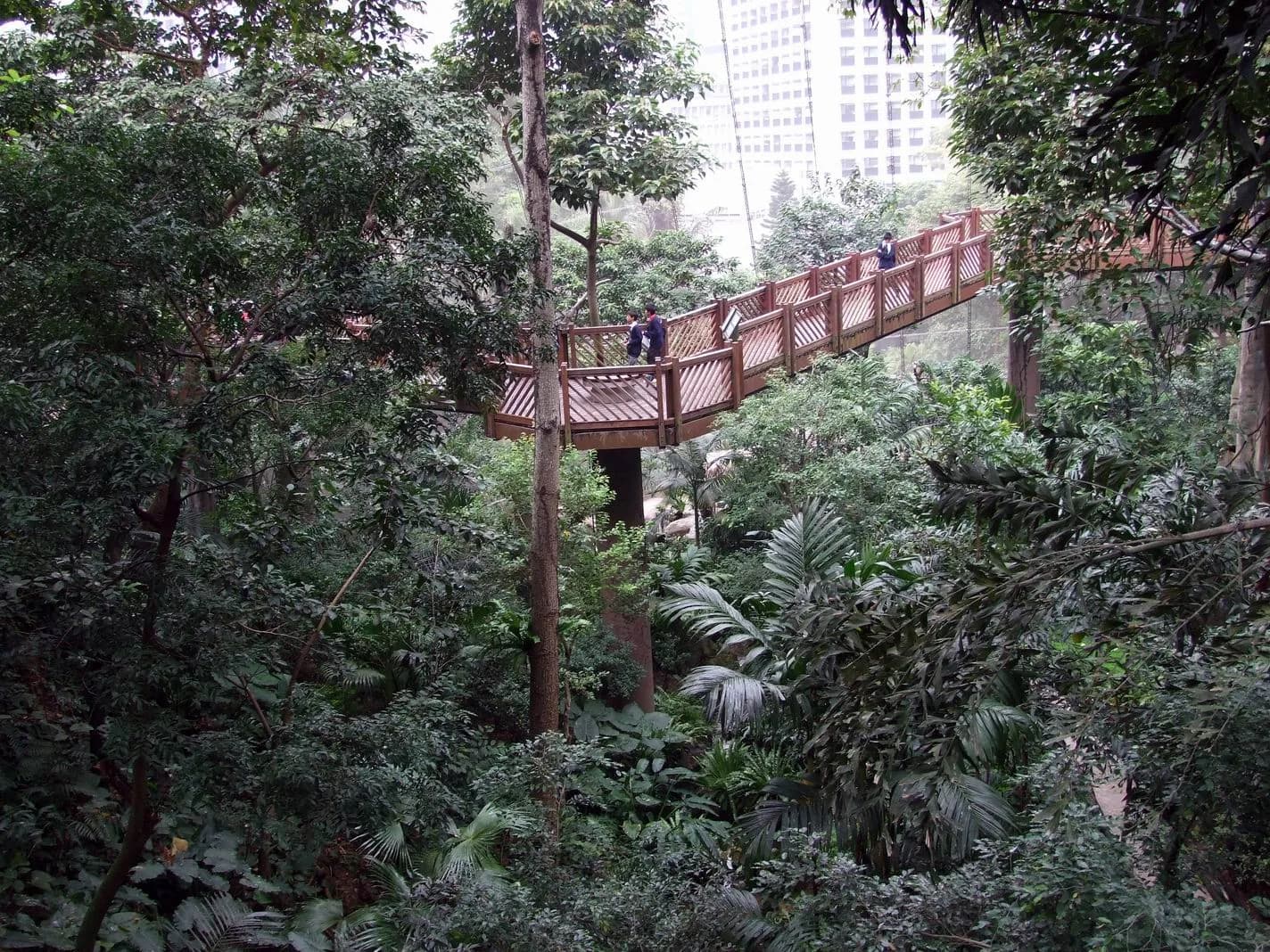 #2 Hong Kong Park & Edward Youde Aviary — Top 10 Free Things to Do in Hong Kong in 2026