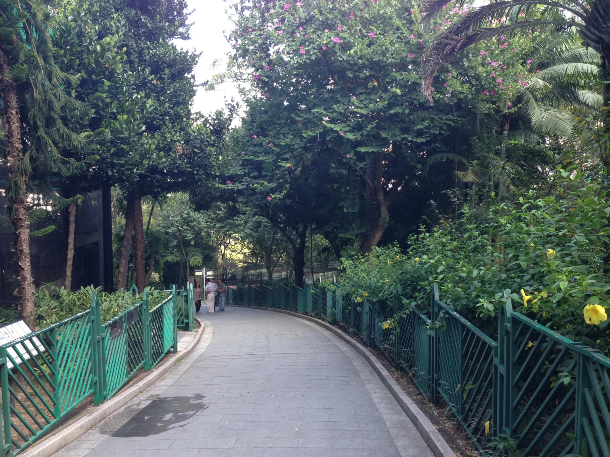 #5 Hong Kong Zoological & Botanical Gardens — Top 10 Free Things to Do in Hong Kong in 2026
