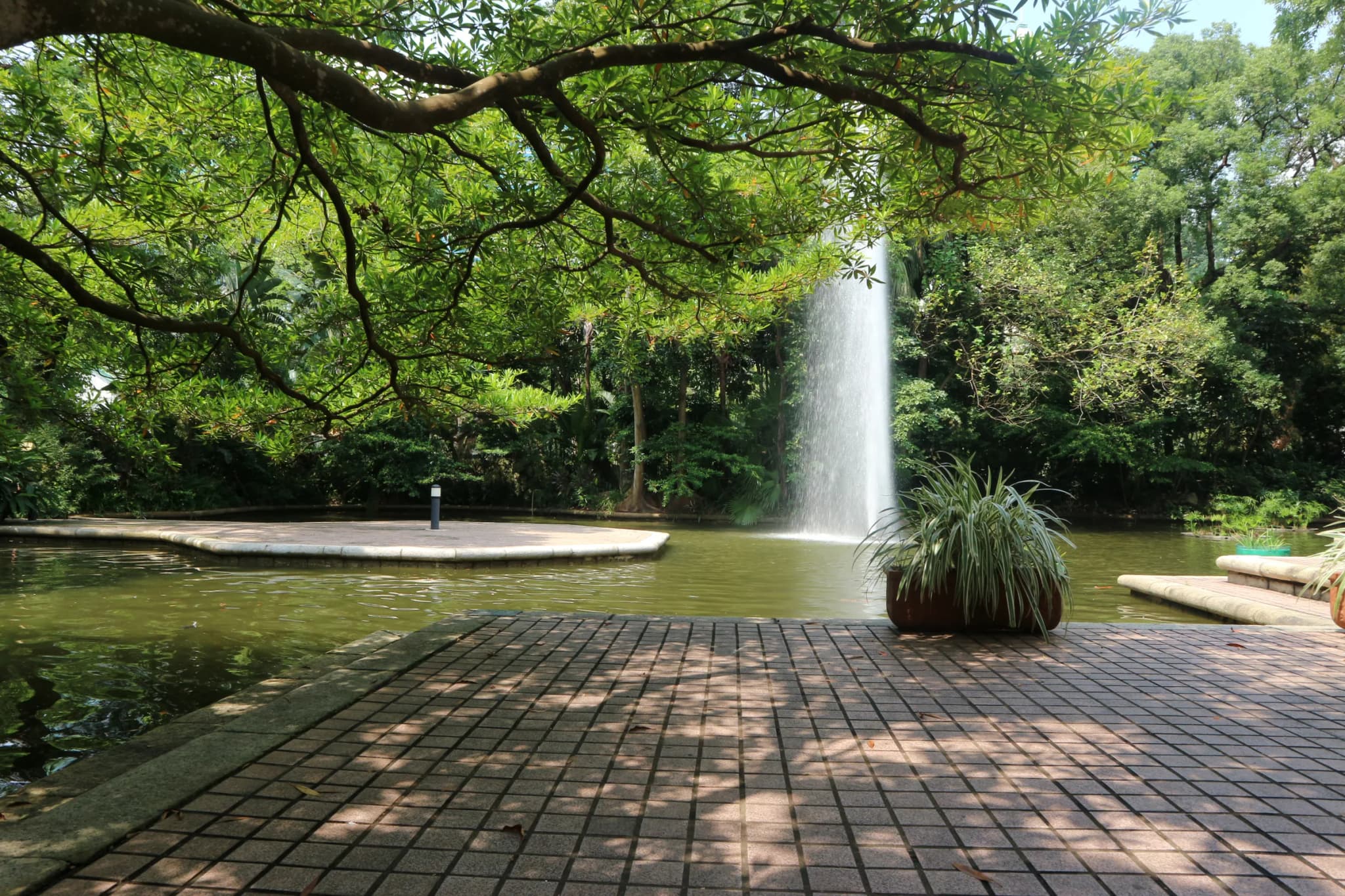 #6 Kowloon Park — Top 10 Free Things to Do in Hong Kong in 2026