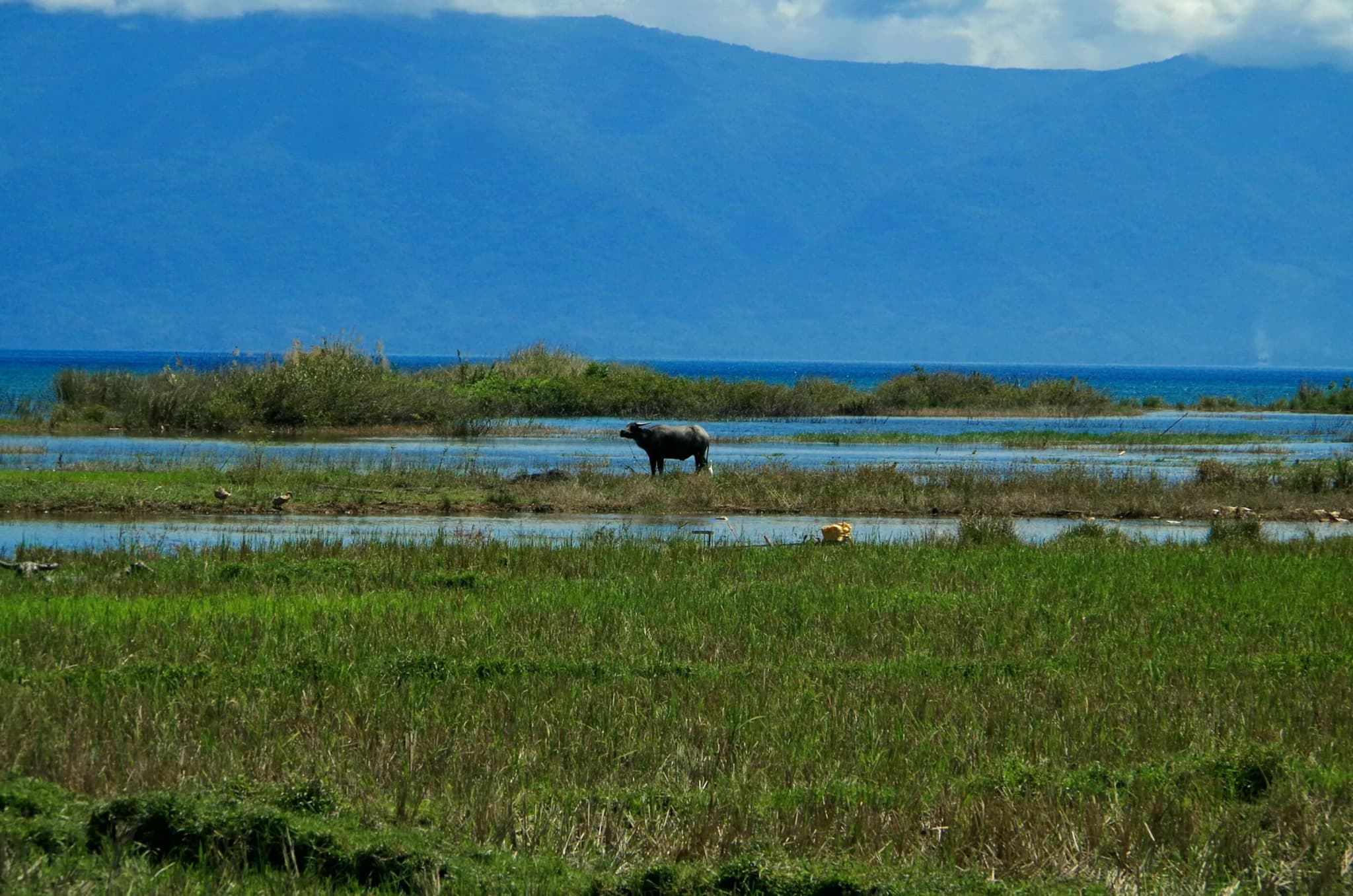 #7 Lake Poso — Top 10 Lakes of Indonesia 2026