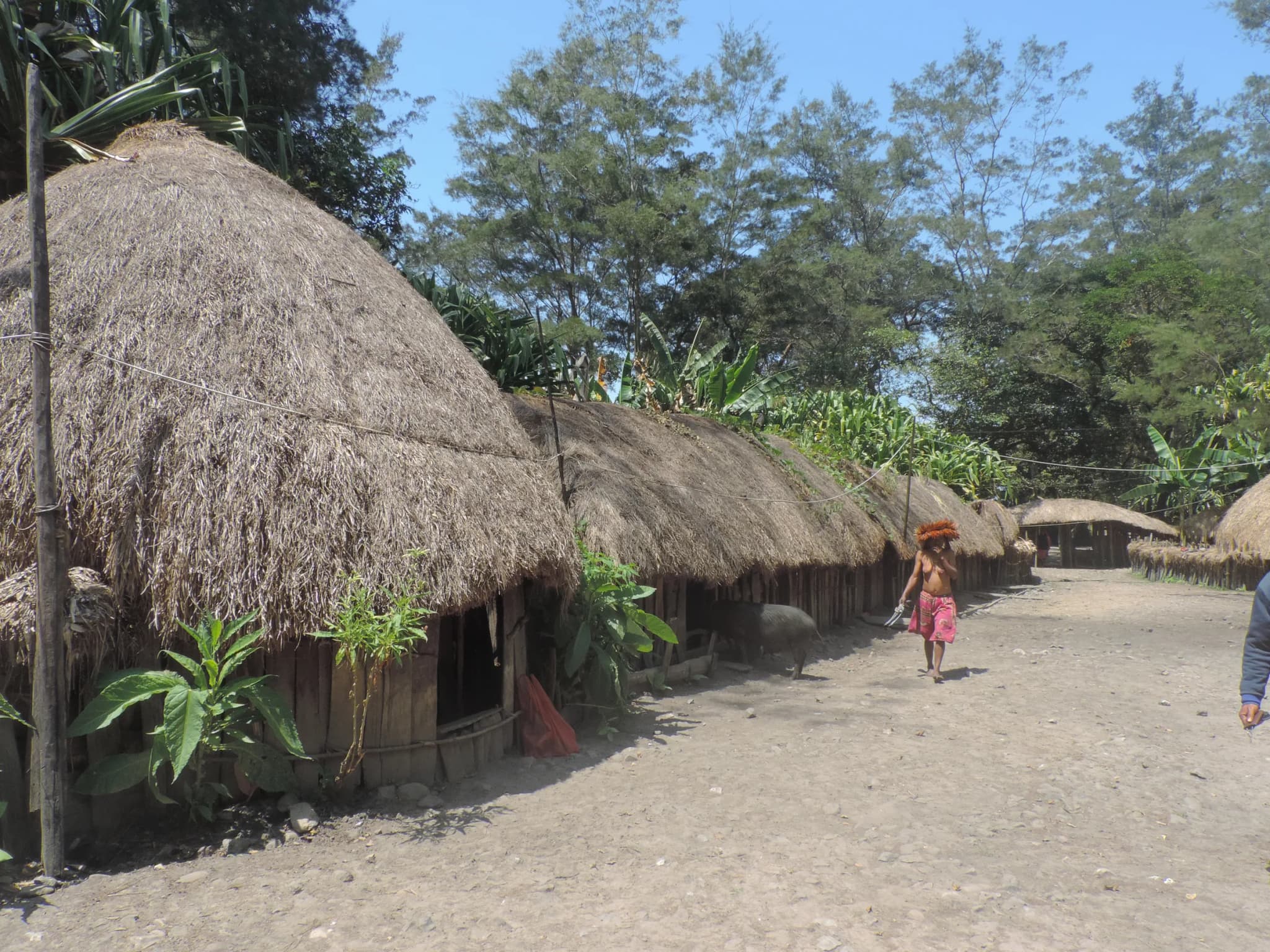 #6 Honai (Dani, Papua highlands) — Top 10 Traditional Houses of Indonesia 2026
