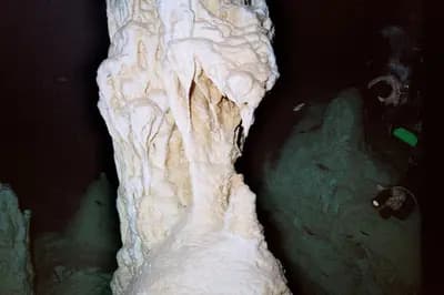 Top 10 Cenotes in Mexico 2026: Best Sacred Swimming Holes & Cave Dives