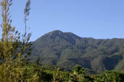 Top 10 Things to Do in Oaxaca 2026