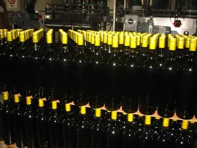 Top 10 Argentine Wines & Wineries in 2026
