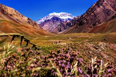 Top 10 Things to Do in Mendoza in 2026