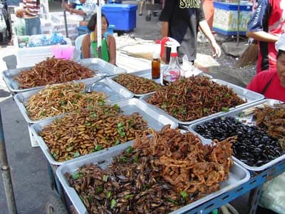 Top 10 Thai Street Foods