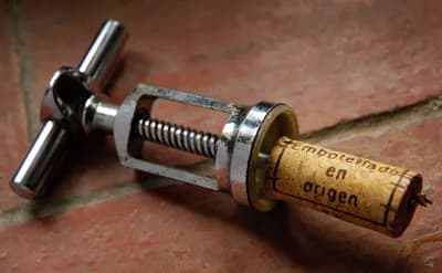 Top 10 Spanish Wines and Wine Regions