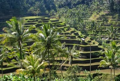 #7 Bali, Indonesia — Top 10 Best Cities to Visit in Asia