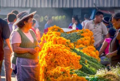 #7 Mercado de Jamaica — Top 10 Things to Do in Mexico City 2026